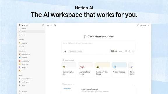 Notion Plus / Business / Enterprise