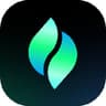 Товар Verdent AI Starter / Pro — логотип