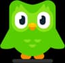 Товар Duolingo Super / Max 1 Год Подписки На Ваш Аккаунт — логотип